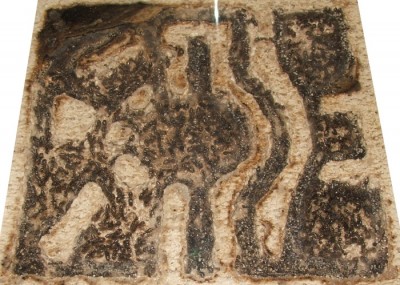 33 22.08.2011 g kleines Horizontalnest.JPG