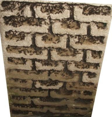 33 22.08.2011 k großes Vertikalnest 3 Frontalansicht.JPG