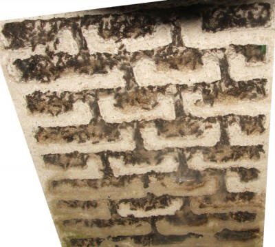 33 22.08.2011 m großes Vertikalnest 5 Frontalansicht oben bis mitte.JPG