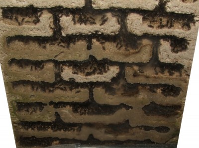 33 22.08.2011 n großes Vertikalnest 6 Frontalansicht unten.JPG