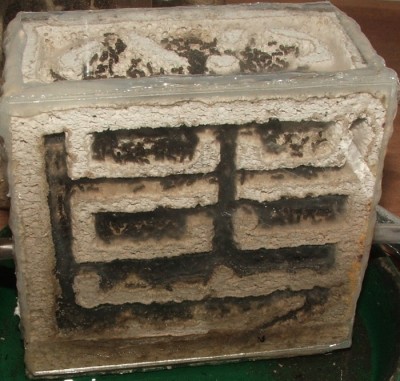 34 02.11.2011 b kleines Vertikalnest 1.JPG