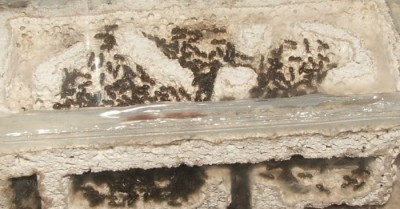 34 02.11.2011 c kleines Vertikalnest 2 Dachgeschoss.JPG