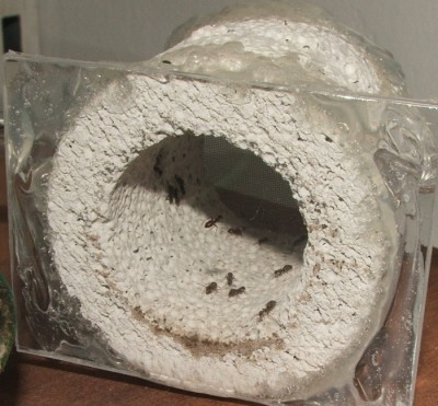 34 02.11.2011 e Wasserschleuse leer.JPG