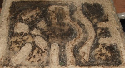 34 02.11.2011 f kleines Horizontalnest.JPG