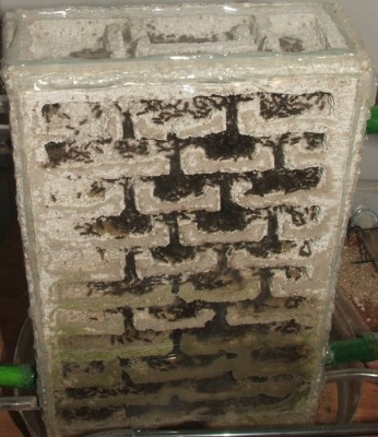 34 02.11.2011 h großes Vertikalnest 1.JPG