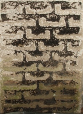 34 02.11.2011 j großes Vertikalnest 3 Frontalansicht 1.JPG