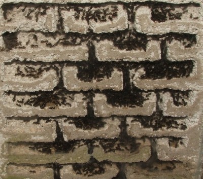 34 02.11.2011 k großes Vertikalnest 4 Frontalansicht 2 oben.JPG