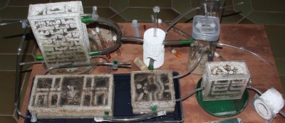 35 03.11.2011 a Gesammtansicht.JPG