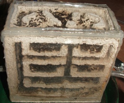 35 03.11.2011 c kleines Vertikalnest 1.JPG