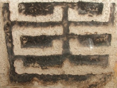 35 03.11.2011 f kleines Vertikalnest 4 Frontalansicht.JPG