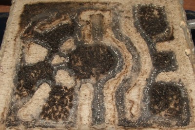 35 03.11.2011 g kleines Horizontalnest.JPG