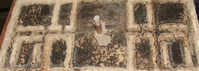 35 03.11.2011 h großes Horizontalnest 1.JPG