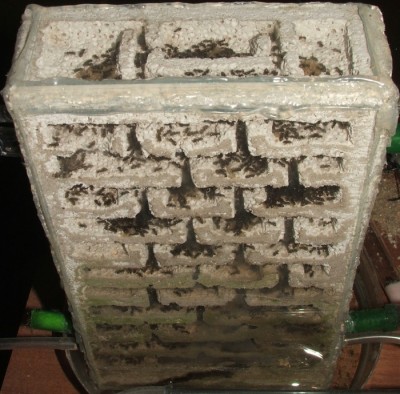 35 03.11.2011 j großes Vertikalnest 1.JPG