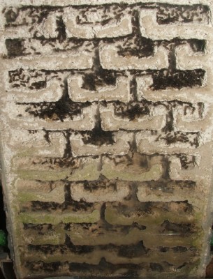 35 03.11.2011 l großes Vertikalnest 3 Frontalansicht.JPG