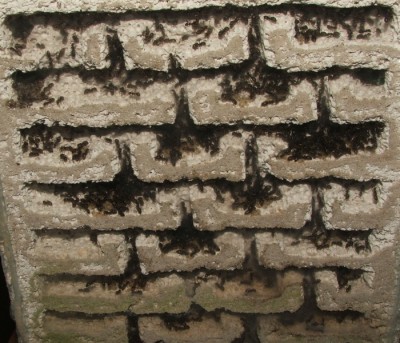 35 03.11.2011 m großes Vertikalnest 4 Frontalansicht oben.JPG