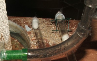 35 03.11.2011 o Schlauchtruppe.JPG