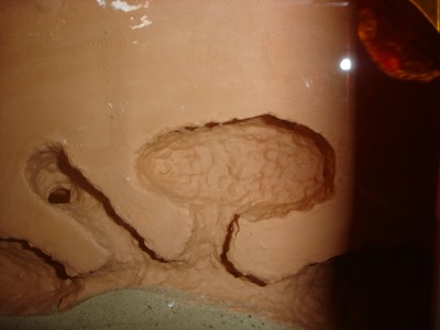 Alternativer Wohnraum.jpg