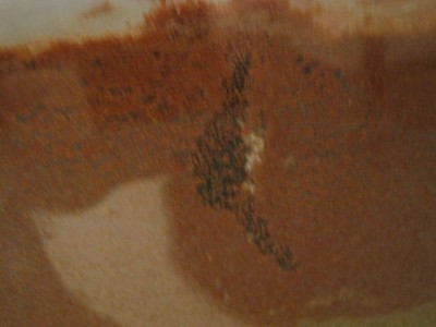 Das Bild wurde um 19 uhr gemacht. Deutliche Veränderung zu oben. Und sie graben immernoch, scheinen aber grade am unteren Ende noch eine Kammer auszuheben. / IMG_0926.JPG IMG_0926.JPG