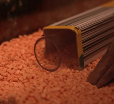 1ter tag erkunden aber sofort.jpg