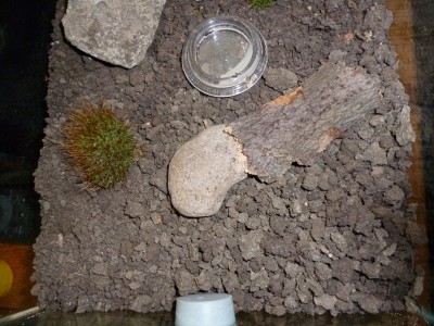 P1000254 (800x600).jpg