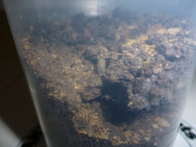 P1000287 (800x600).jpg