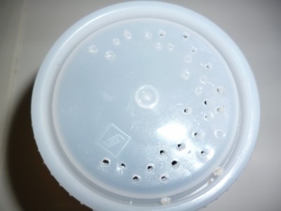 P1000292 (800x600).jpg