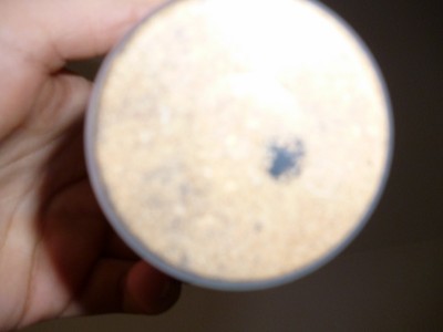 P1000293 (800x600).jpg