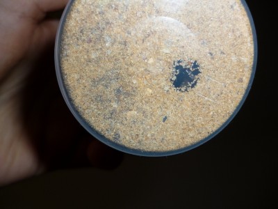 P1000294 (800x600).jpg