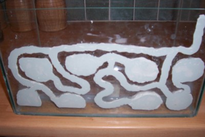 ants home 010.jpg