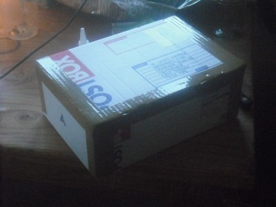 ants and bike 011.JPG