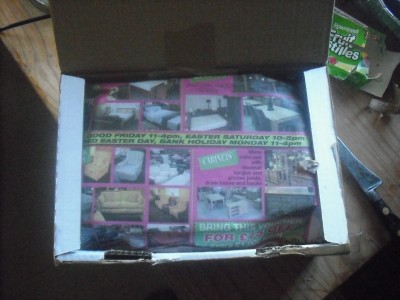 ants and bike 012.JPG