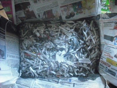 ants and bike 013.JPG