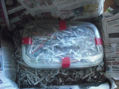 ants and bike 014.JPG