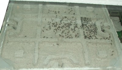 3 11.04..JPG (157.87 KiB) 7987-mal betrachtet 3 11.04..JPG