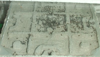 17.JPG (166.63 KiB) 10020-mal betrachtet 17.JPG