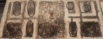 1 14.04.2012 großes Horizontalnest Bruthaufen.JPG