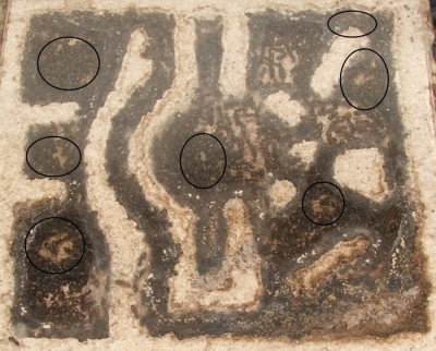 12 15.04.2012 kleines Horizontalnest Bruthaufen umgeschichtet.JPG