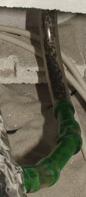 26 16.04.2012 Knubbel in der Röhre.JPG