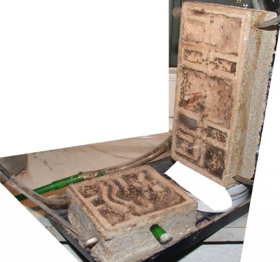 11 18.04.2012 alter Nestkomplex.JPG