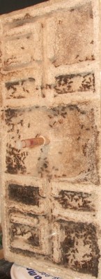 12 18.04.2012 vertikalisiertes großes Horizontalnest.JPG