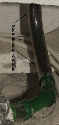 24 19.04.2012 Stöpselknubbel.JPG