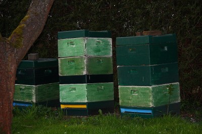 Segeberger Beute.JPG