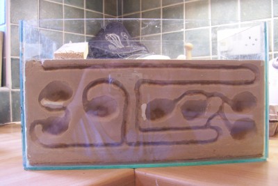 new ant nest 006.jpg