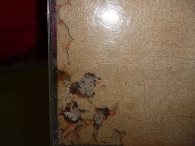 P1000412 (800x600).jpg