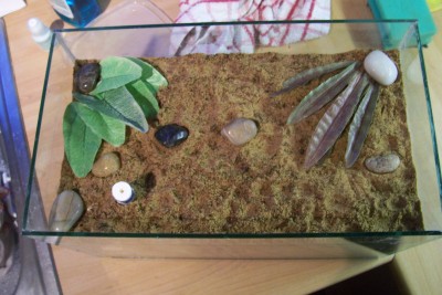 new ant nest 021.jpg