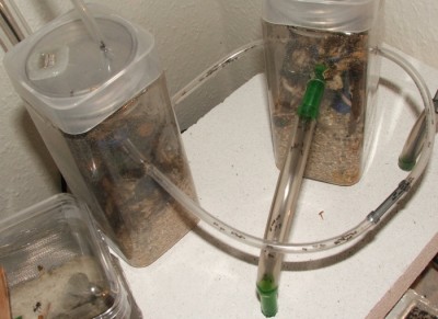 32 26.04.2011 abends Arenen.JPG