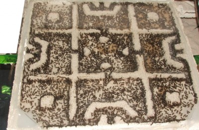 33 26.04.2011 abends neues Nest.JPG