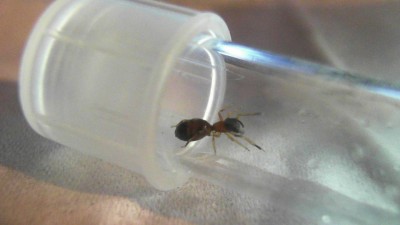 2012-05-10 20-33-14.431.jpg