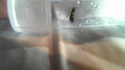 2012-05-10 20-29-13.645.jpg