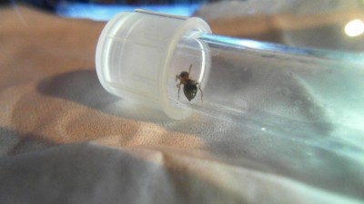 2012-05-10 20-32-23.846.jpg